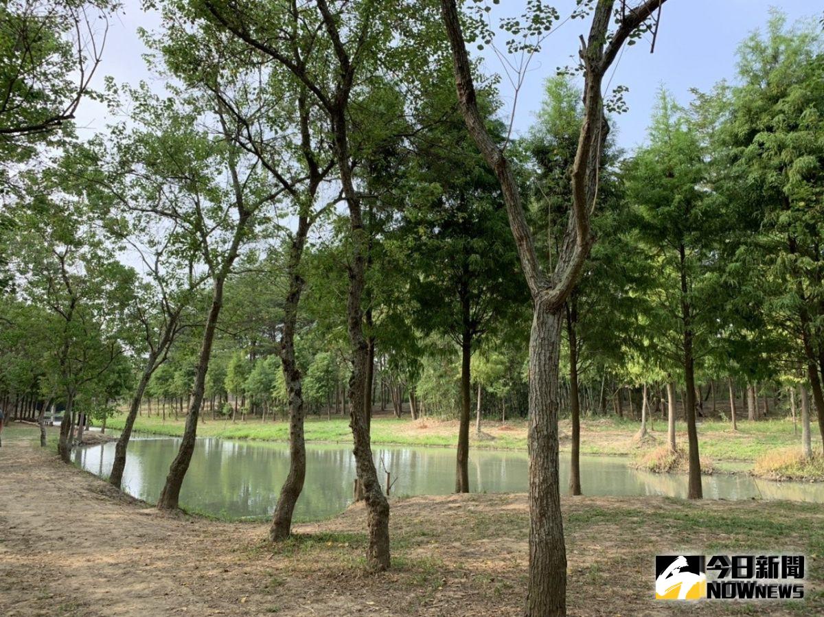 ▲路過嘉義高鐵大道，到魚竂遺址暫時佇足片刻，竟能洗滌一身凡塵。（圖／記者陳惲朋攝 , 2019.10.14）