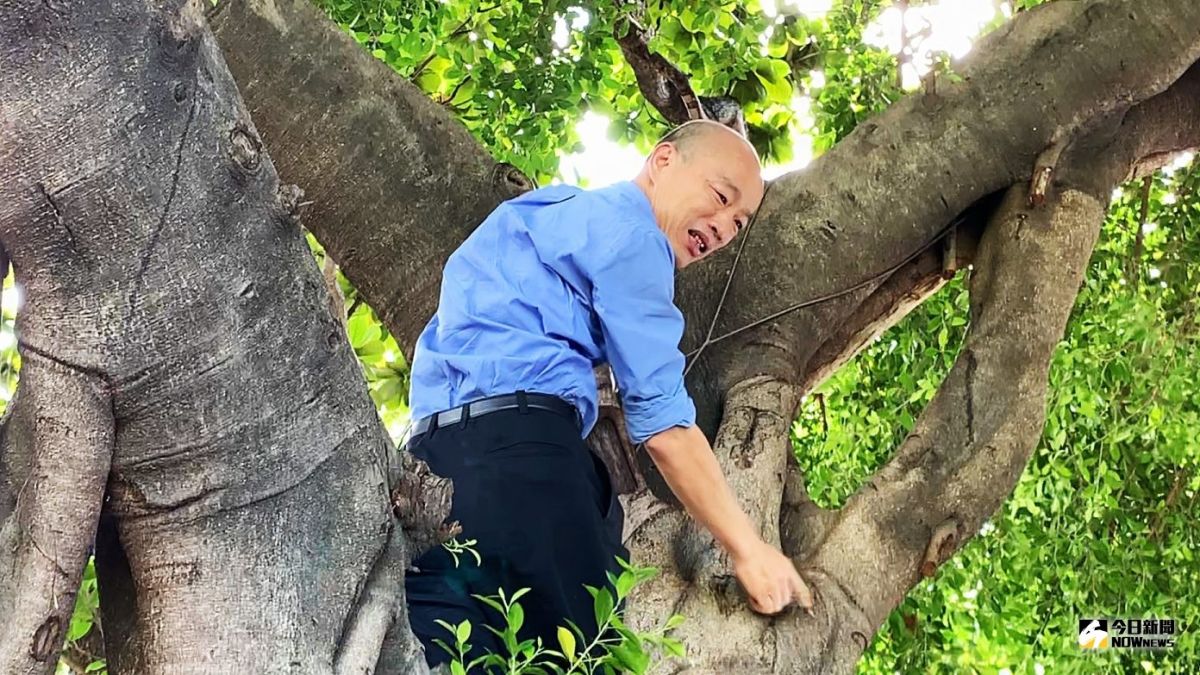 ▲韓國瑜爬樹視察登革熱引發熱議。（圖／ NOWnews 資料照）