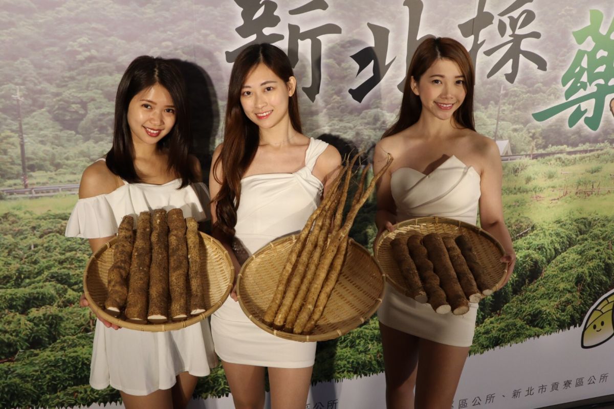 ▲新北市農業局今(15)日舉辦「輕旅山間 新北採藥趣」新北山藥上市暨行銷系列記者會。（圖／新北市農業局提供）