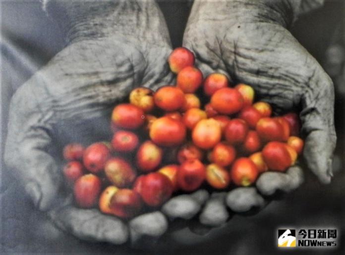 古坑咖啡推動智能種植　以科技導入咖啡產業
