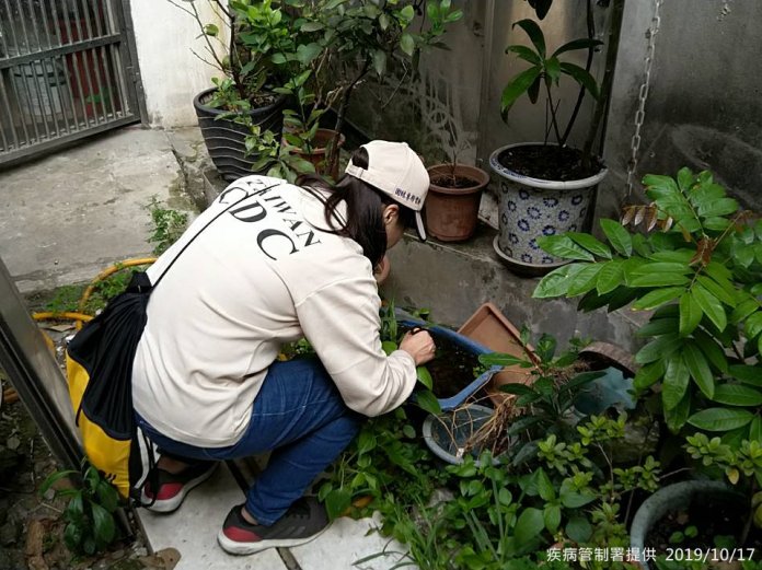 ▲疾管署防疫人員於新北市樹林區彭厝里，本土登革熱個案住家周邊查核孳生源。（圖／疾管署提供）