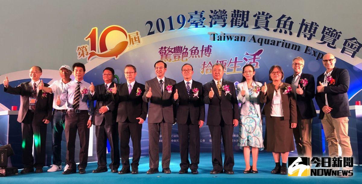 ▲行政院農業委員會漁業署舉辦台灣觀賞魚博覽會活動，由農委會副主任委員陳添壽(右6)主持。(圖／記者黃守作攝，2019.10.17)  
