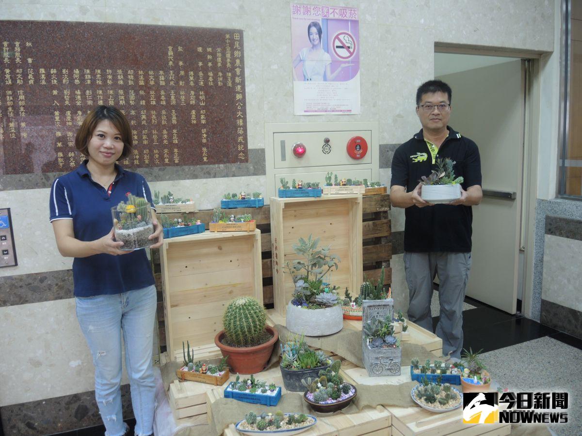▲田尾鄉農會在一樓大廳造景布置，為周末的「多肉植物暨仙人掌評鑑活動」暖身。（圖／記者陳雅芳攝，2019.10.17）