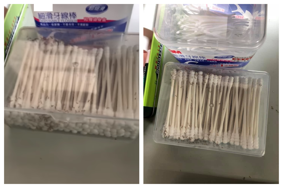 ▲一名男子因為棉花棒爬滿螞蟻困擾不已。（合成圖／翻攝自爆怨公社）