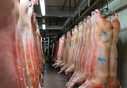 ▲（圖／翻攝自爆料公社二社）