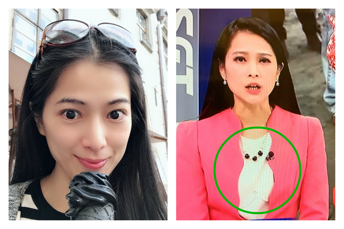 ▲有網友分享了美女主播的照片，聲稱「這是一隻間諜吉娃娃」。網友看出來後，全場笑翻，直呼「回不去了」。（合成圖／翻攝自李文儀臉書，爆廢公社）