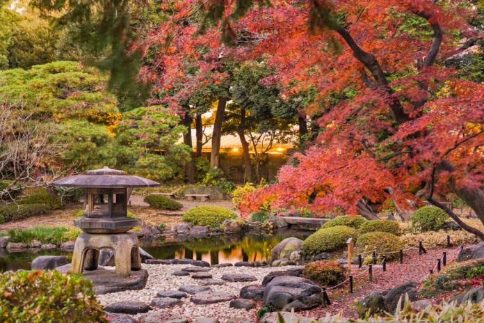 東京舊古河庭園紅葉（Shutterstock）