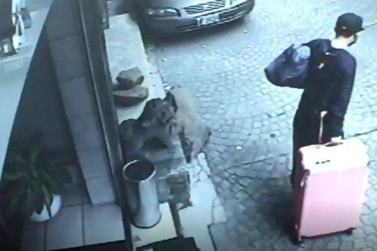 ▲港男陳同佳去年 2 月在台殺害女友，事後以行李箱搬運棄屍。（圖／翻攝自《香港01》）