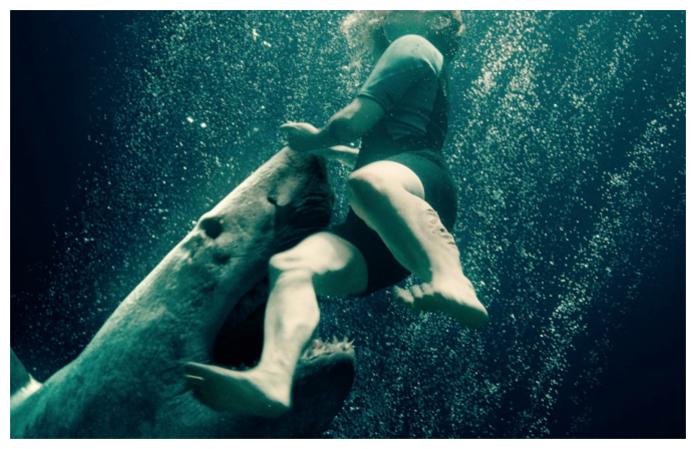 ▲《絕鯊47：猛鯊出籠》再現恐怖鯊魚。（圖／車庫）