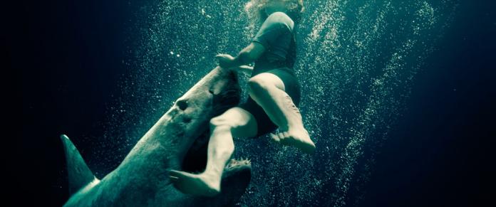 ▲《絕鯊47：猛鯊出籠》劇照（圖／車庫）