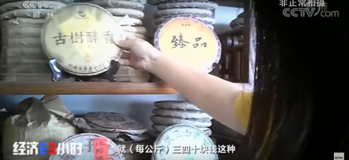 ▲雲南「古樹茶」聞名遐邇，但大陸央視走訪發現，當中造假的不少。（圖／翻攝自大陸央視影片片段）