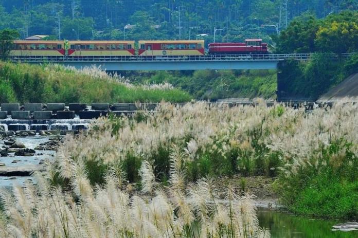 「歲末壓軸」林鐵主題列車　邀您旅讀林業風華
