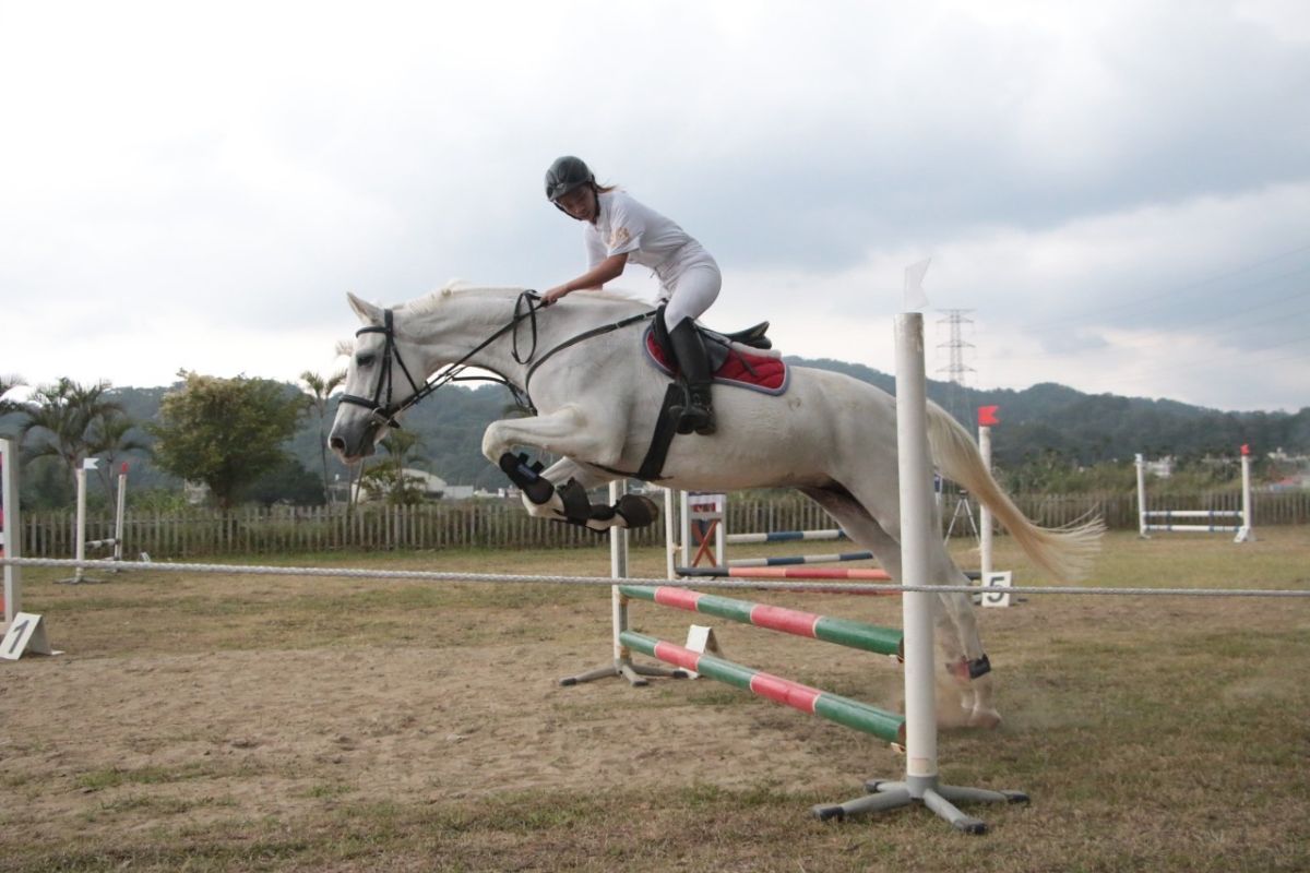 ▲新竹縣馬術委員會舉辦新竹縣縣長盃馬術錦標賽，共吸引50位海內外選手參賽。（圖／新竹縣馬術委員會提供）