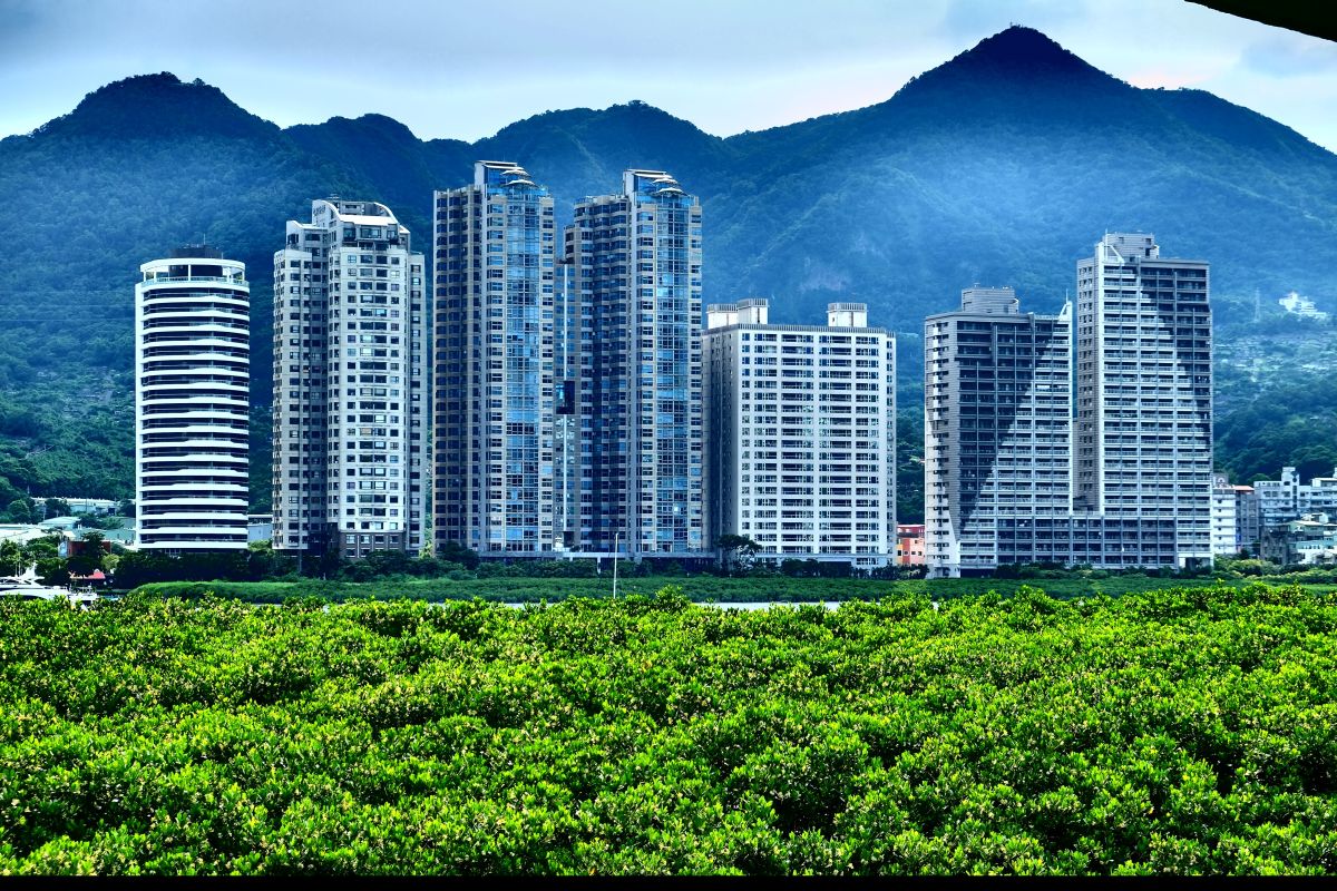 ▲日前有網友認為竹圍相當適合居住，此言論立馬引起許多人討論。（圖／取自維基百科）