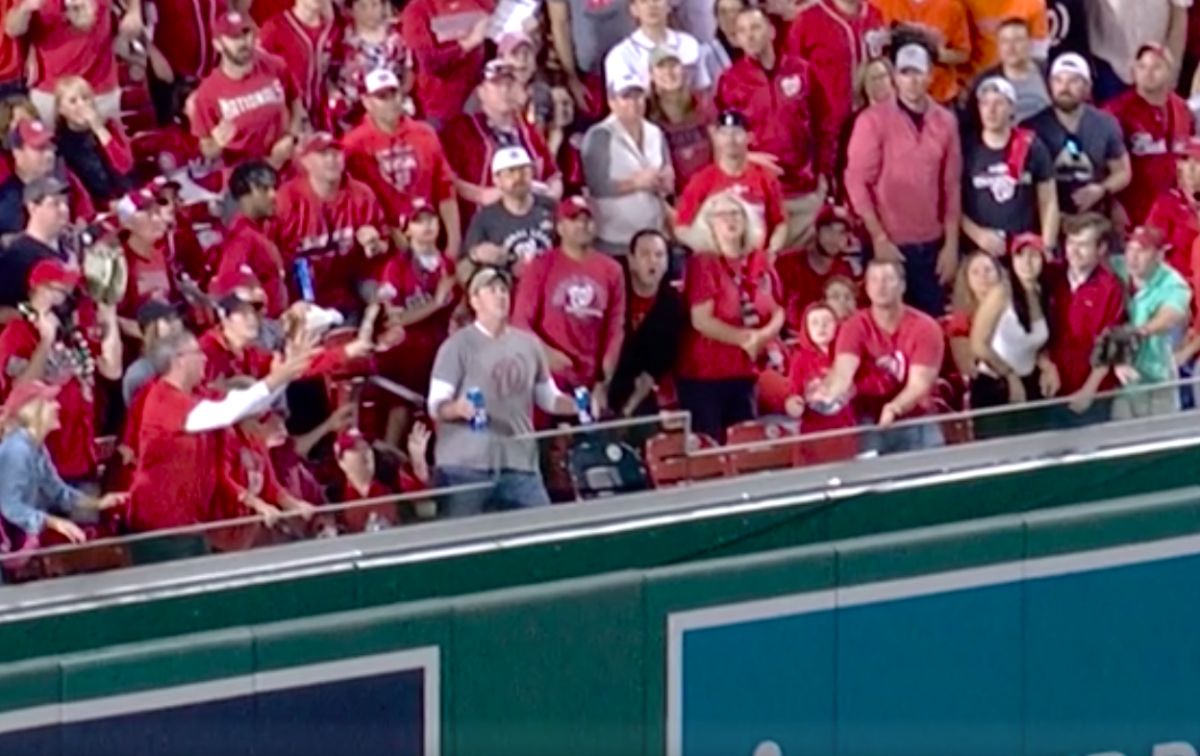 一名國民球迷為了保護手中啤酒，不惜讓球砸在自己身上。（圖／截自網路）