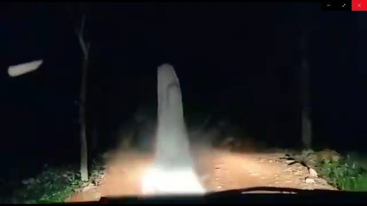 ▲網路流傳嘉義縣中埔產業道路上的白衣鬼，中埔分局指為假消息。（圖／記者陳惲朋翻攝）