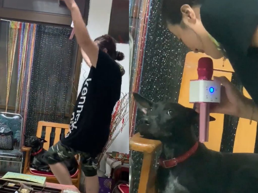 阿嬤～偶知道尼唱得很好聽啦！但、口不口以不要再唱惹…… (圖/網友Hannah Yuriko提供) 