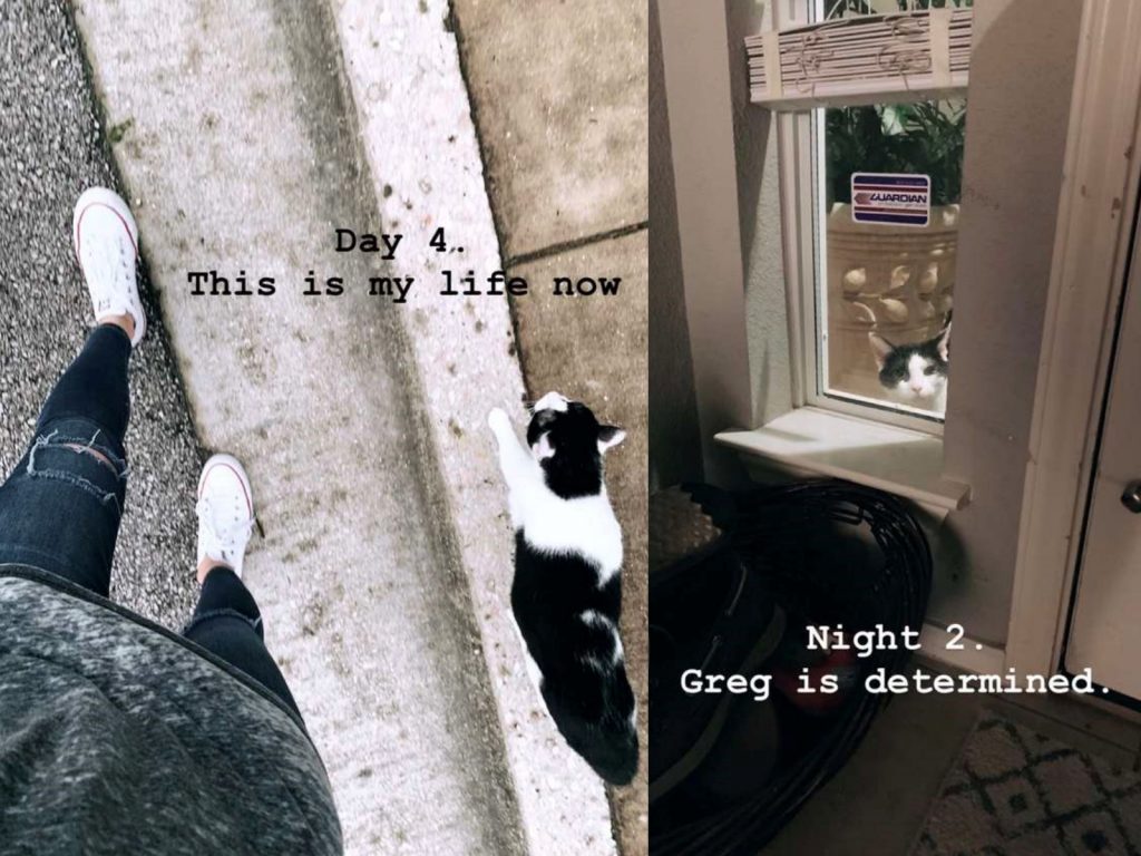 大膽奴才竟敢把朕關在外面！ (圖/Erin Breean) 