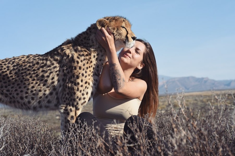 獵豹守護者！女子全心為動物付出　遠赴南非救援獵豹回野外