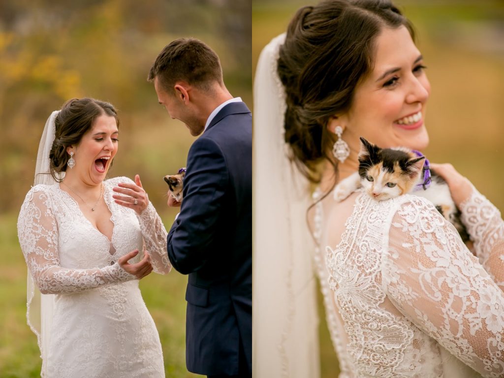 克羅伊：別擔心！我罩妳！以後本喵會代替娜拉好好守護妳的！ (圖/Wild and Wonderful Photography) 