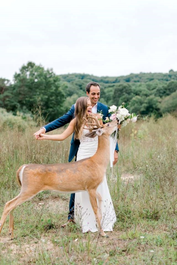 最萌慣犯！小鹿專闖婚紗照　給新人最夢幻的祝福！