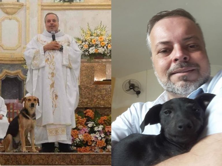 巴西牧師戈麥斯非常熱衷幫助流浪動物（圖／FB@PadreJoao Paulo Araujo Gomes）