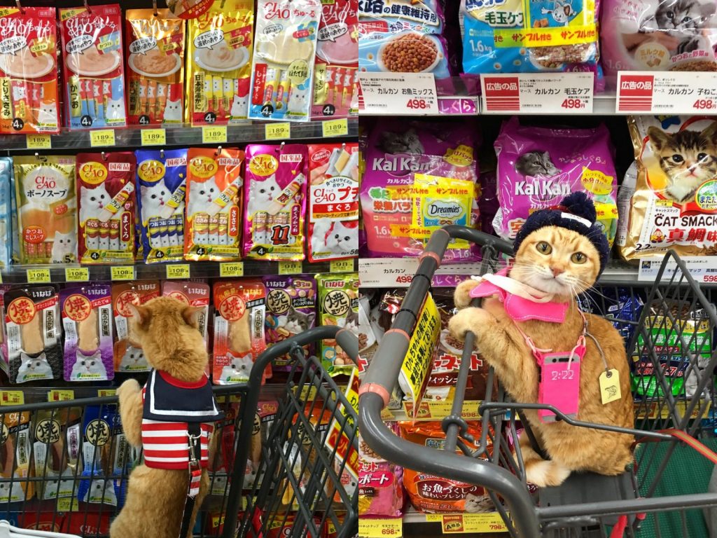 這個吃過了、這個不好吃、這個不知道味道怎麼樣咧～(圖/IG@kibimomo) 