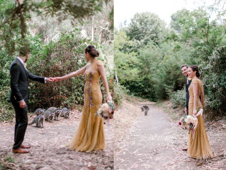 一群野生浣熊的亂入讓婚紗照變得更有童話感！（圖／FB@Kathryn White Photography）