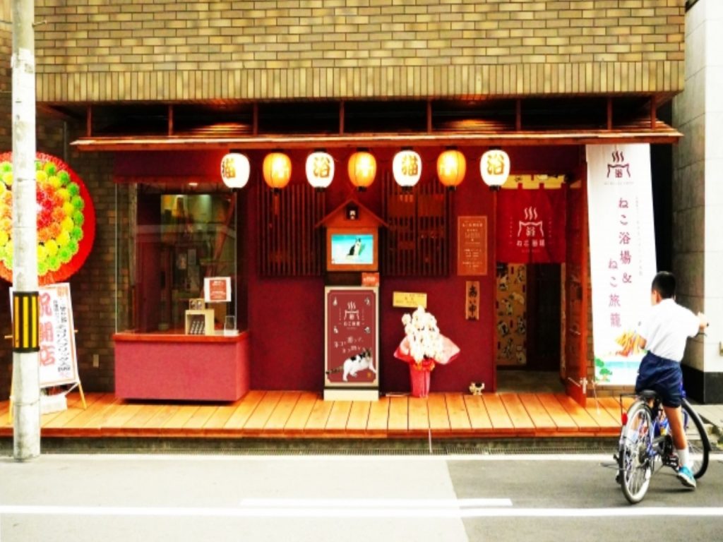 大阪新打卡景點「貓浴場」（圖／prtimes.jp.com）