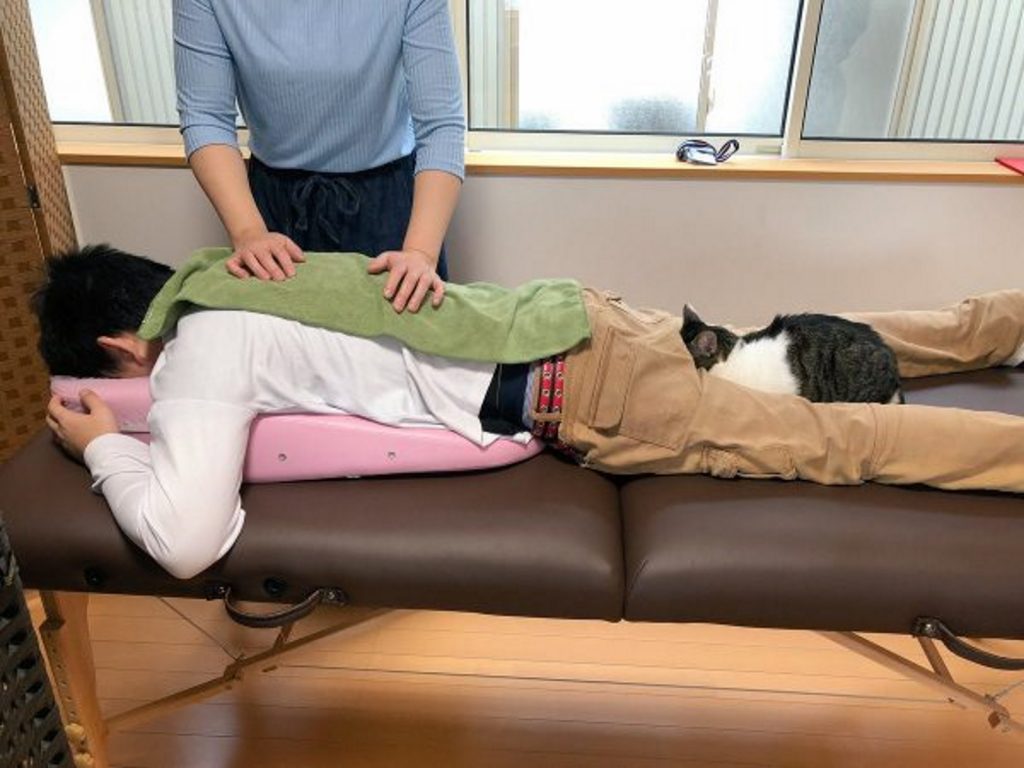日本貓咪咖啡廳提供推拿服務，竟然有店貓直接把頭埋在客人屁屁「埋頭大睡」！（圖／FB＠猫カフェ 福ねこ）