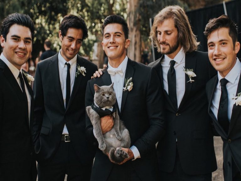 艾倫的貓咪麥可王子成為把拔婚禮上最搶眼的完美伴郎！（圖／IG@aaronsanimals）