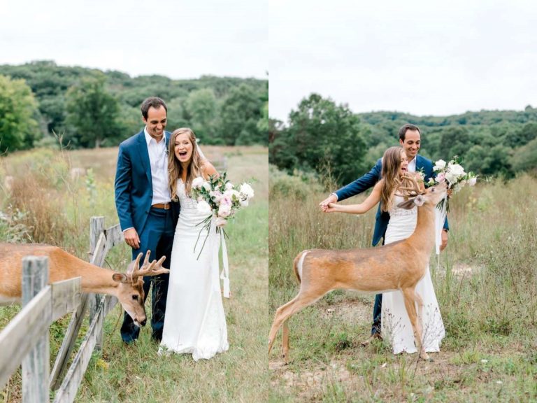 最萌慣犯！小鹿專闖婚紗照　給新人最夢幻的祝福！
