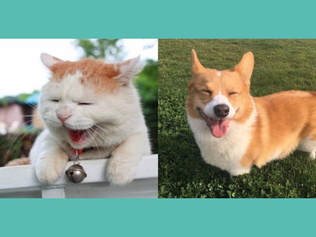 (圖/女子學提供)