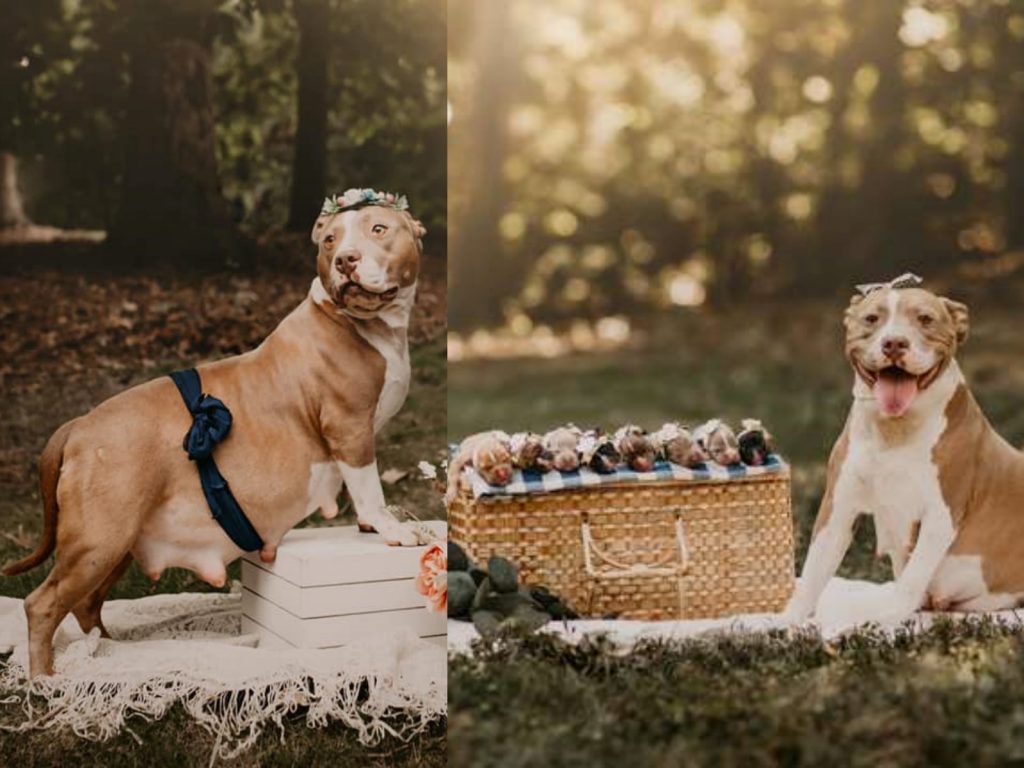 泡菜媽媽實在是太活潑了，讓賽克斯差點招架不住～還好不是用底片拍，不然賽克斯可能要用掉上百捲底片囉～ (圖/Enchanted Hills Photography) 