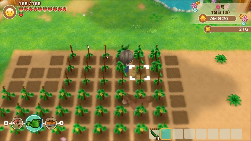 筆者比較喜歡不需重新播種的小黃瓜。遊戲內有很多種植物，請多多嘗試吧！