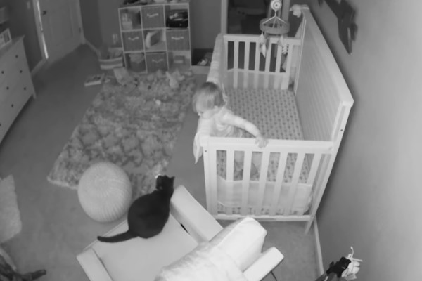 監視器錄下嬰兒與貓咪對「喵」　網笑：從小開始征服！