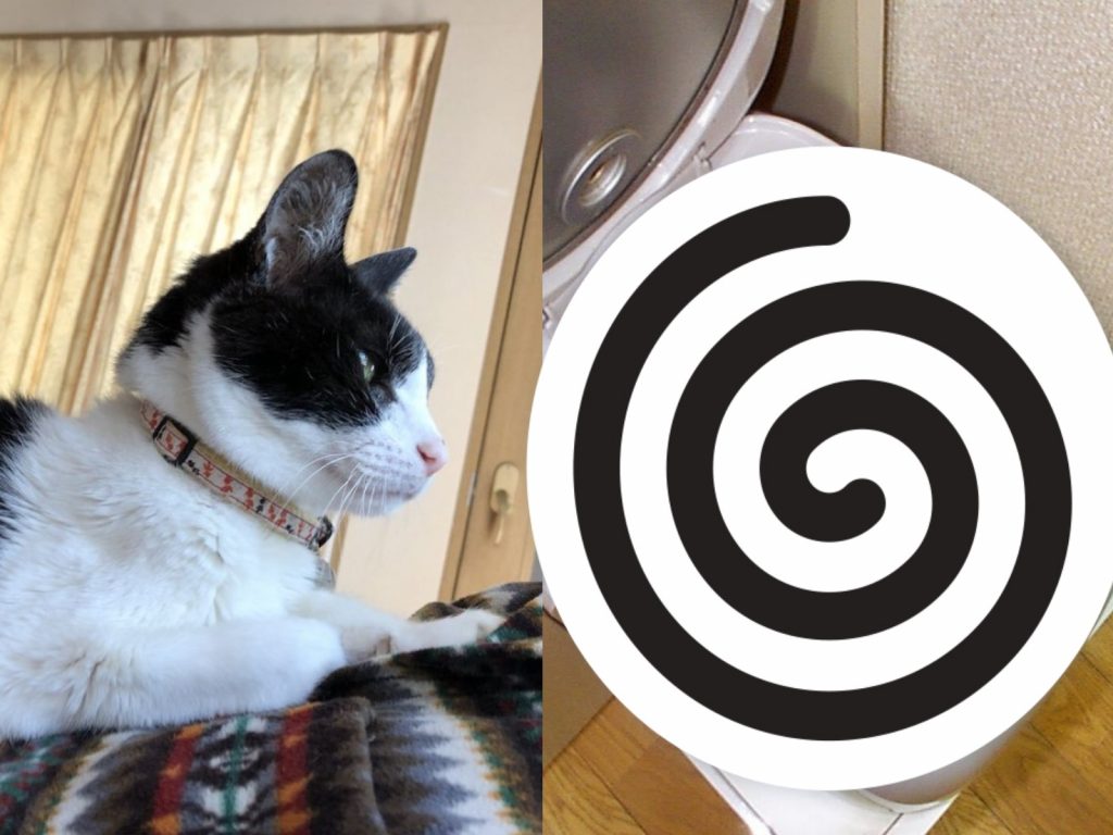 除了紙箱，家裡有一項常見用品也是貓咪的最愛（圖／twitter@maruzura944）