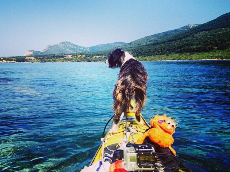 男子划獨木舟橫跨地中海　遇見夢想狗狗加入成為人生「伴旅」
