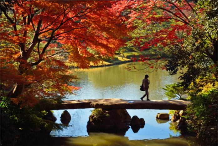 ▲六義園為東京傳統庭園代表之一。（取自東京旅遊官網）