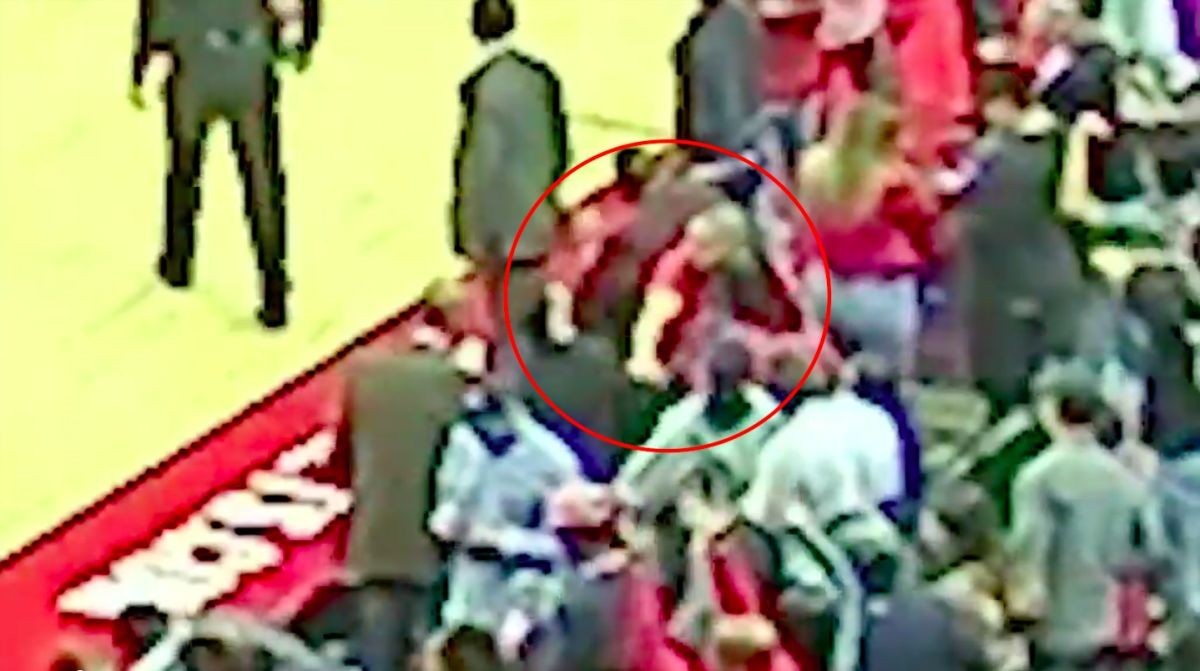 鵜鶘隊助理教練遭球迷揮拳攻擊（圖／翻攝自網路）