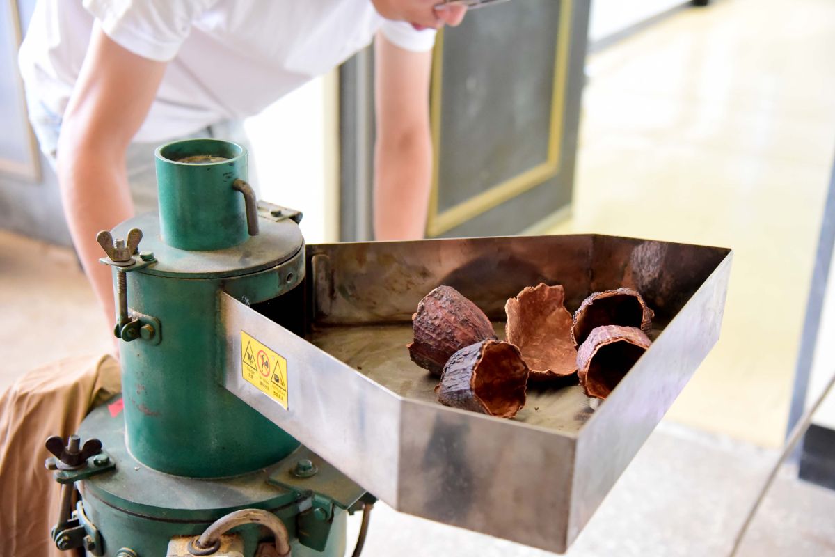 ▲利用可可莢殼的有機成分特性，以循環經濟及清潔生產程序概念產製高孔洞性活性碳材料，利用其天然有機質木質纖維素及乾燥後的特性，製作友善環境的「造型文創餐墊」。（圖／屏科大提供）