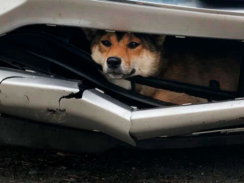 ▲（圖／翻攝自騰訊網）