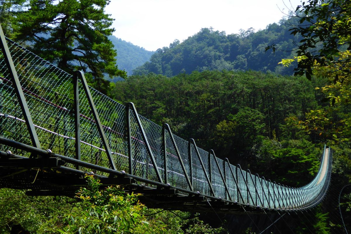 ▲位於南投縣的奧萬大國家森林遊樂區日前傳出意外，一名2歲男童意外從吊橋圍欄空隙中摔落至溪谷。（圖／林務局提供）