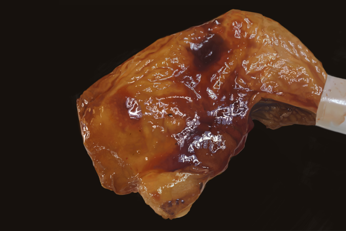 ▲照燒雞腿的真面目讓人驚呼「不能吃」！（圖／翻攝自 @kisuke_izumo 推特）