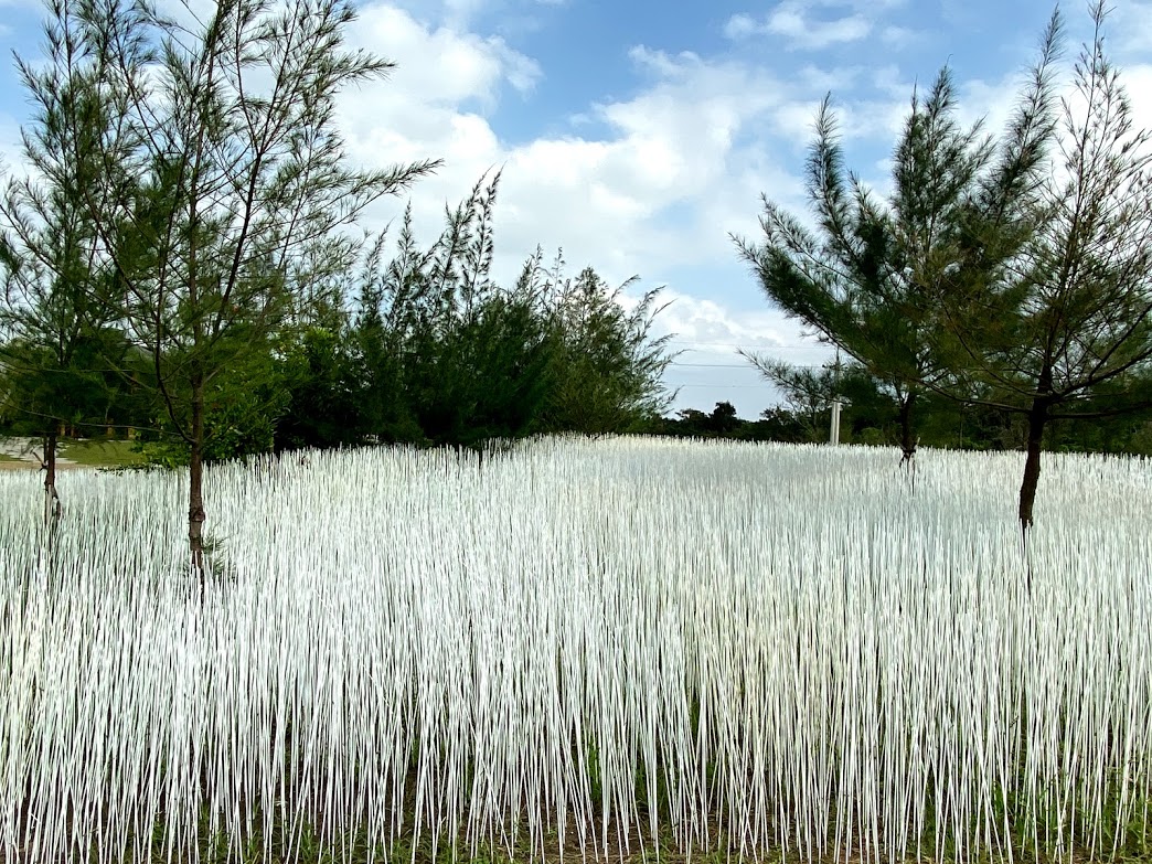 ▲「壯圍沙丘地景藝術節」10萬根染白竹籤插在沙丘上，宛如下雪般的情境。（圖／記者李清貴攝,2019.11.06)