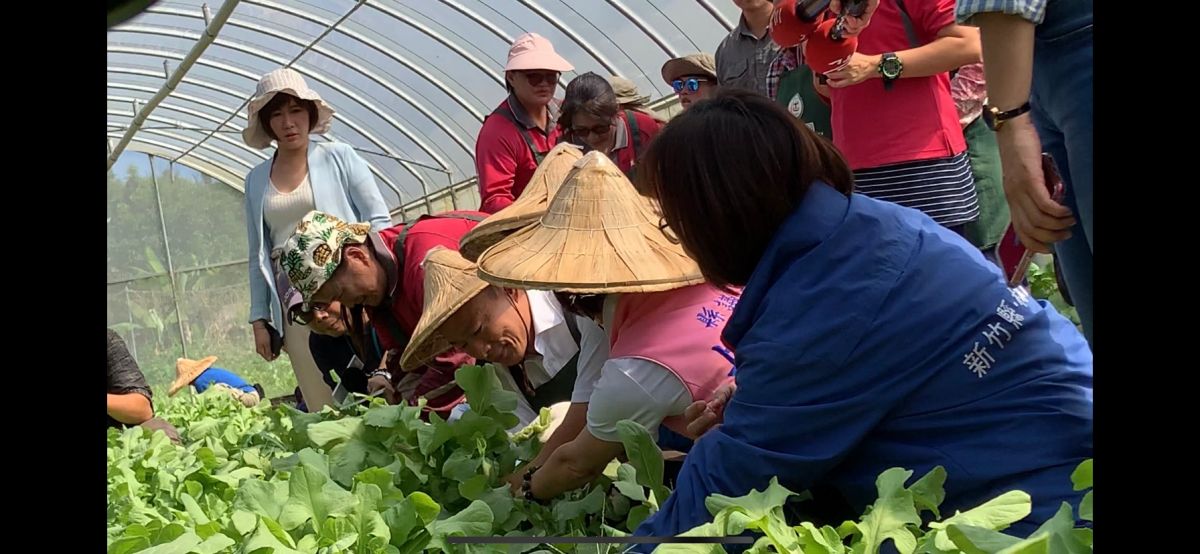 韓國瑜在身心障者的引導下體驗種菜、拔菜。 (圖/記者吳承翰攝)