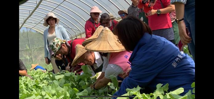 韓國瑜在身心障者的引導下體驗種菜、拔菜。 (圖/記者吳承翰攝)