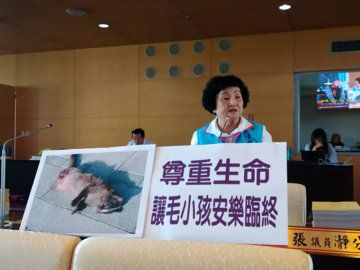 ▲議員張瀞分表示，毛小孩臨終告別要有尊嚴，希望市府能建立一套完整的處理機制。 (圖／柳榮俊翻攝2019.11.8)