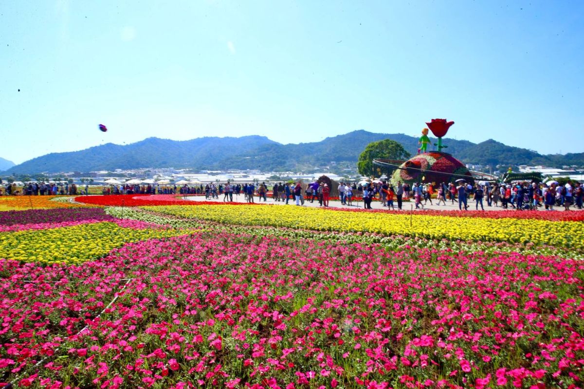 ▲台中國際花毯節開幕首日上午就吸引數千民眾前往拍照打卡，盛況空前▲(圖／台中市政府新聞局提供2019.11.9)