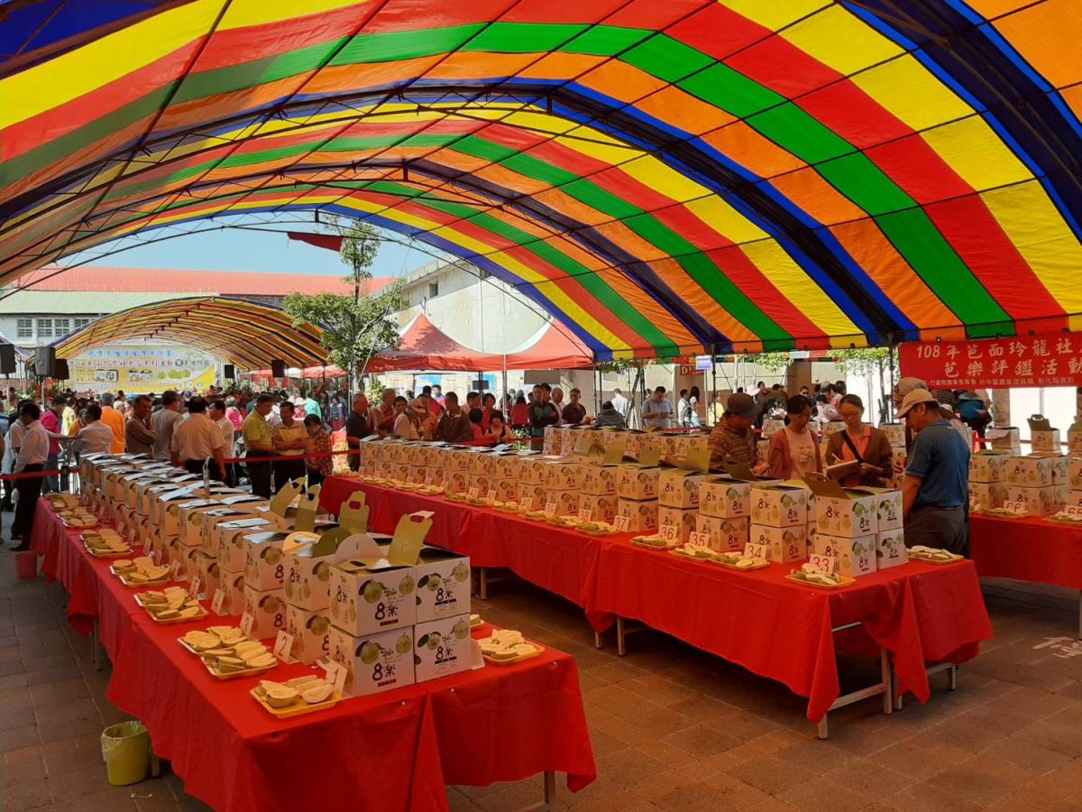 ▲社頭鄉農會舉辦芭樂評鑑，有來自全縣15鄉鎮109組農友參賽。（圖／記者陳雅芳攝，2019.11.09）